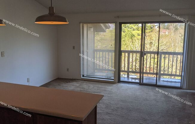 Studio, 1 bath, 416 sqft, $1,150