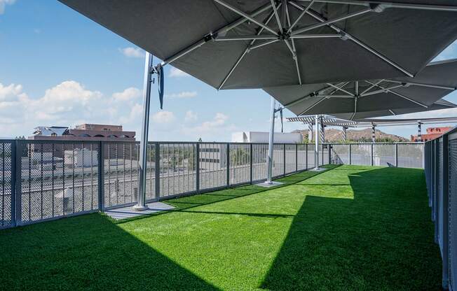 lounge area with grass and umbrellas