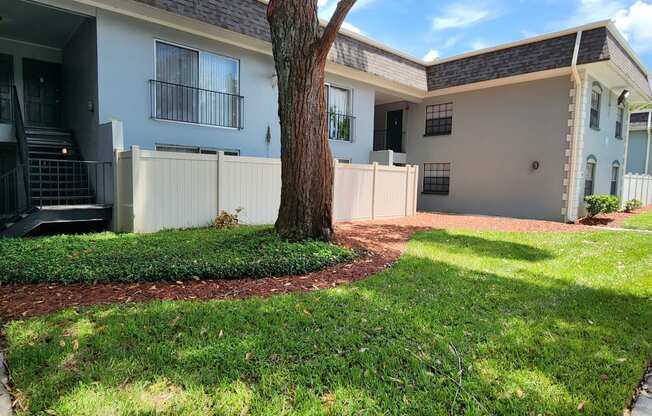 a view of the exterior of a house with a yard and a tree