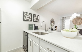 a white kitchen with a sink and a dishwasher