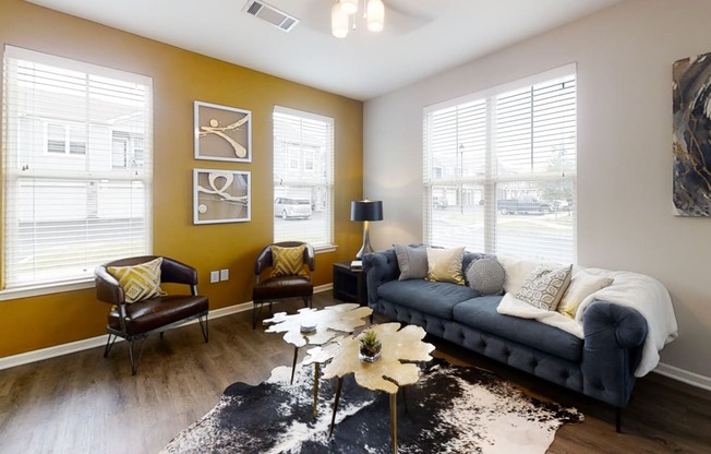 Living Room with Lots of Natural Light