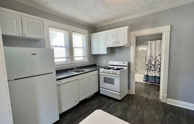 1133 Muskegon NW
