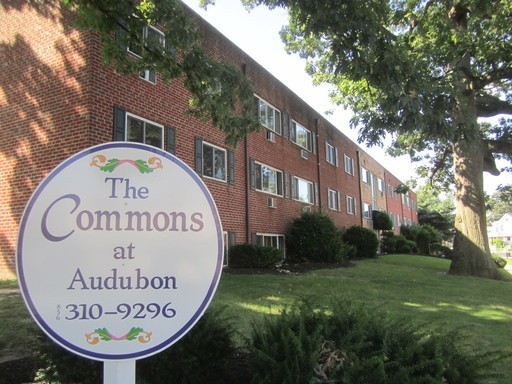 The Commons at Audubon - RENOVATED 1 Bedroom