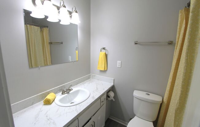Great location and beautiful updates.  Pet friendly one bedroom in Bellevue.