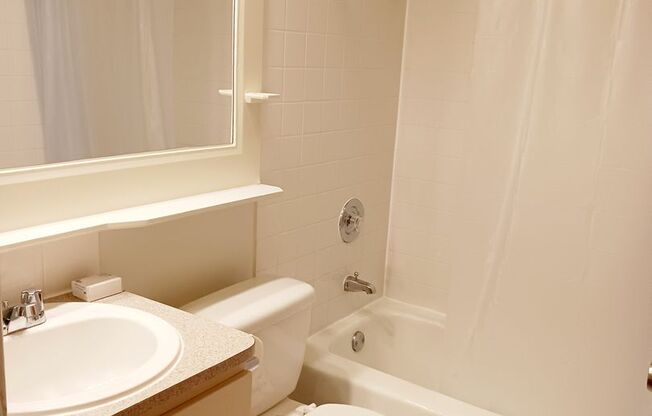 Studio, 1 bath, 332 sqft, $1,300, Unit 216
