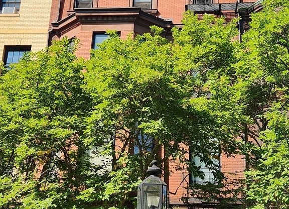 231 COMMONWEALTH AVE