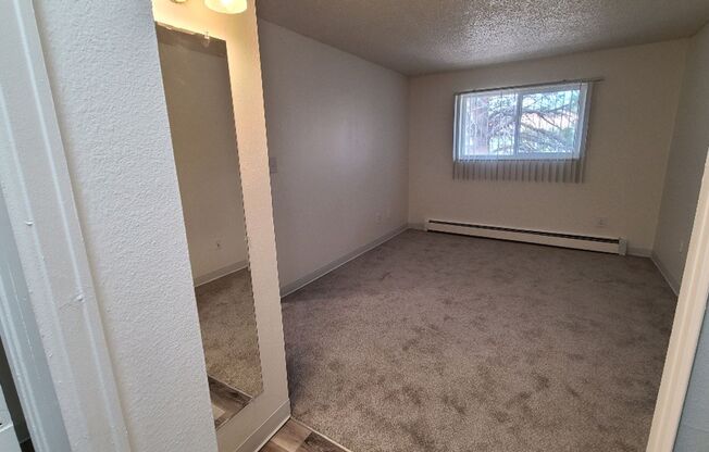 2 beds, 1 bath, 790 sqft, $1,300