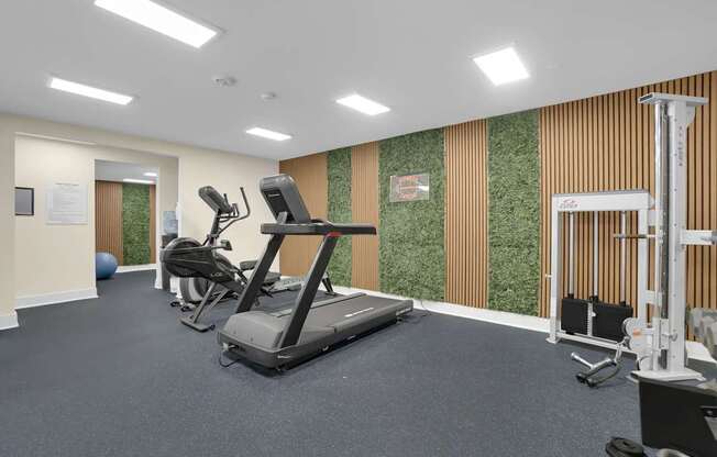 A gym with treadmills, weights, and exercise balls.