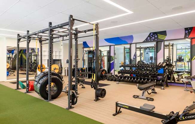 A gym with a green floor and a variety of equipment.