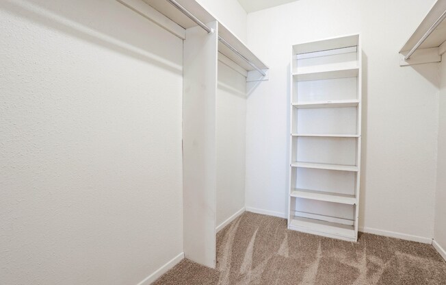 Spacious walk-in closet with built-in shelving and a carpeted floor at Laurel Parc apartments in Shreveport, LA.