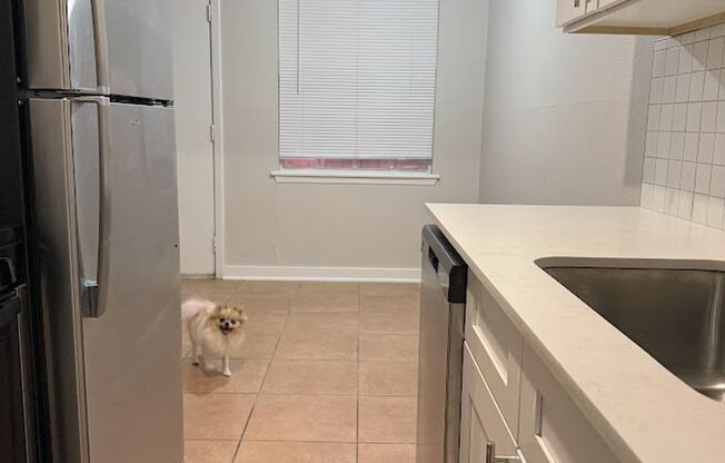 2 beds, 1 bath, 750 sqft, $1,100, Unit K705 - 307 - 106