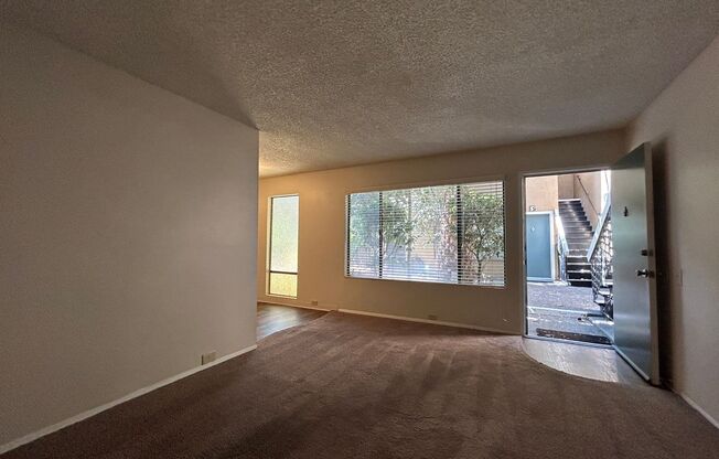 1 bed, 1 bath, $1,600, Unit 11