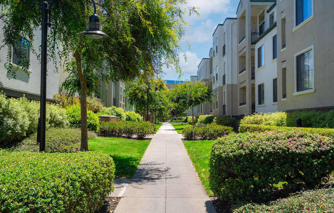 A tree-lined walkway leads to apartment buildings.