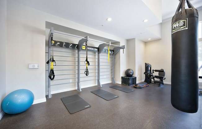 A gym with a blue exercise ball, a black punching bag, and a weight machine.