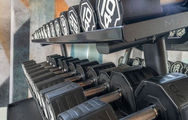 2 beds, 2 baths, 1,156 sqft, $3,981, Unit 403