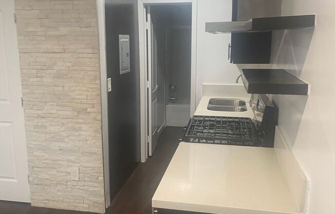 Studio, 1 bath, 325 sqft, $1,495, Unit 10