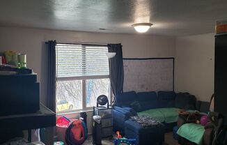 1B/1B Pet Friendly Apartment South of BYU
