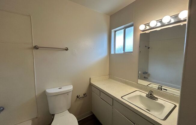 Studio, 1 bath, $1,195, Unit #25