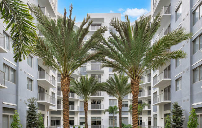 Courtyard at The Marc Luxury Apartments in Palm Beach Gardens FL