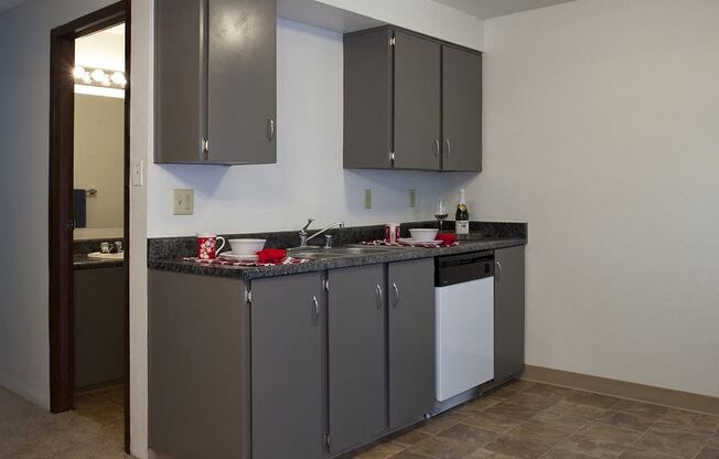 Sage Creek Apartments kitchen with grey cabinets