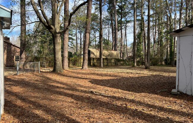 3 beds, 1 bath, $1,200