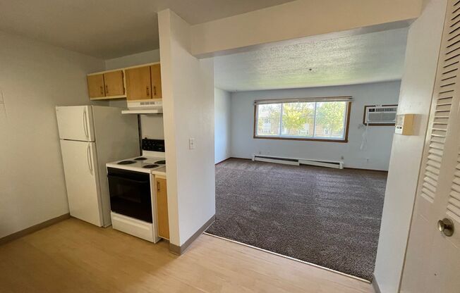 2 beds, 1 bath, 550 sqft, $695, Unit 1119-206