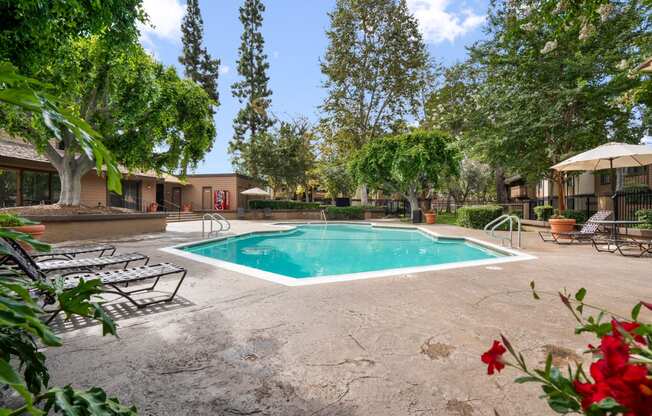 the swimming pool at our apartments