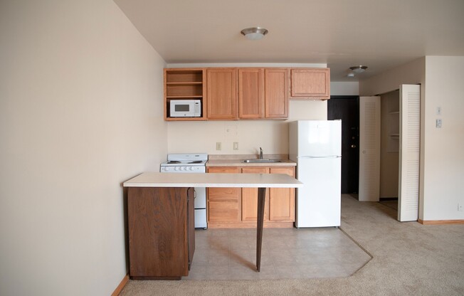Studio, 1 bath, 300 sqft, $1,070, Unit 102-213