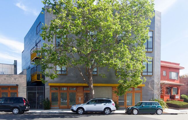 Balconies & Skylights: Contemporary, Large 1br/1ba Apt. Near Ashby BART