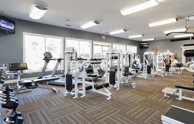 a gym with weights and cardio machines and windows