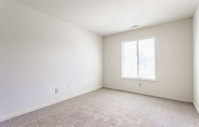 A white room with a window and carpeted floor