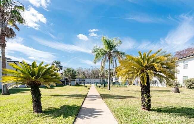 A sunny day in a residential area with palm trees and a clear blue sky.