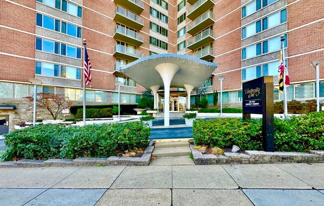 Charming 1 Bedroom/1 Bathroom Condo in Charles Village, Baltimore, MD!
