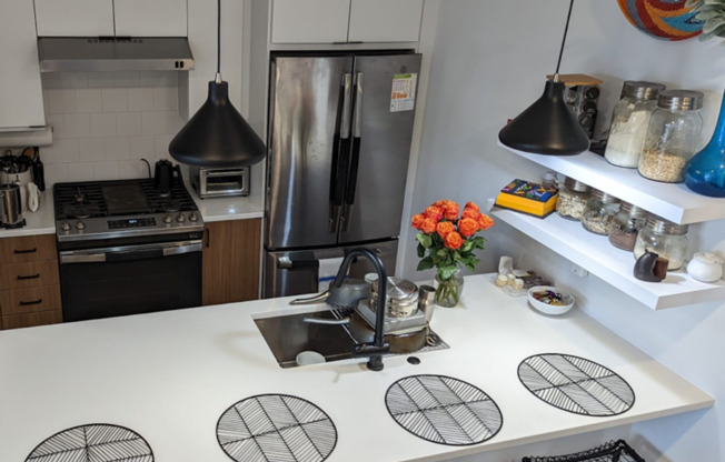 Spacious & Bright Furnished 2br/2ba in Petworth!