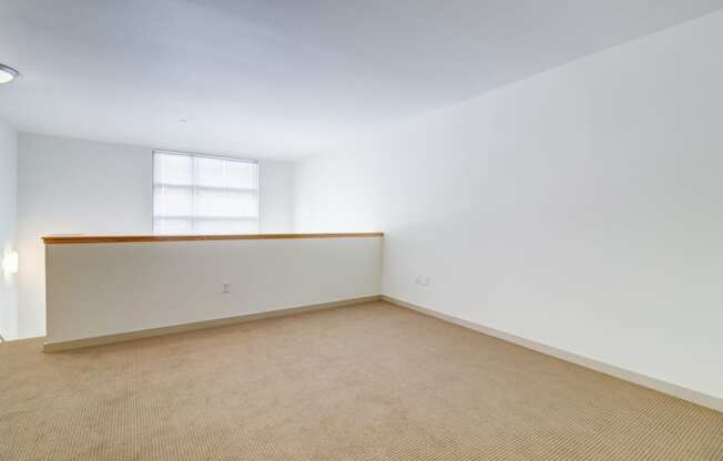unfurnished loft space with carpet and large window
