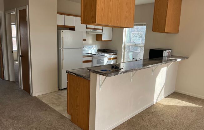 1 bed, 1 bath, 560 sqft, $1,195