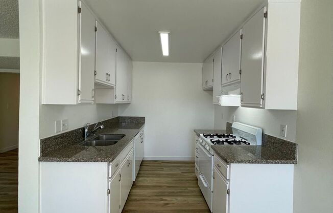 221 ELM