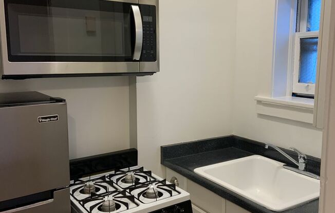 Studio, 1 bath, 375 sqft, $945, Unit 110