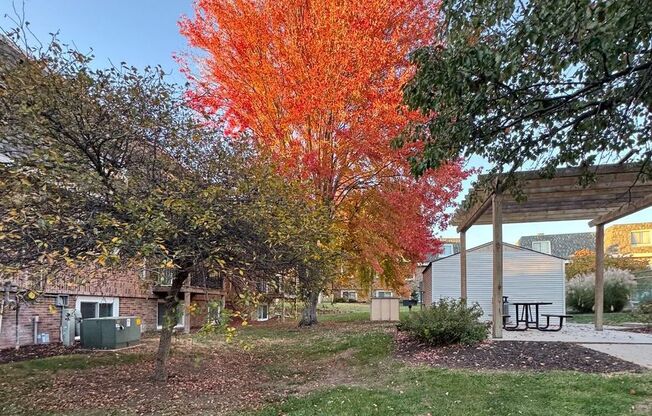 1 bed, 1 bath, $1,060, Unit 1503-15