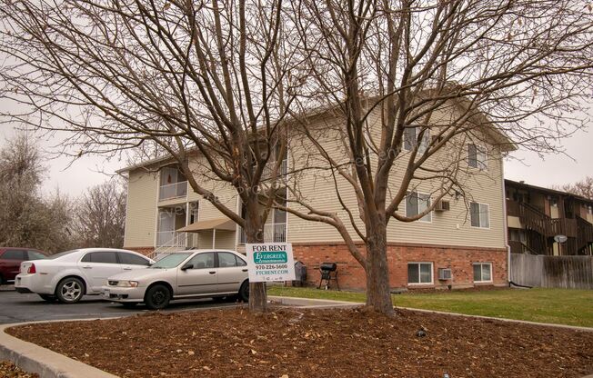 3 beds, 1.5 baths, $1,395