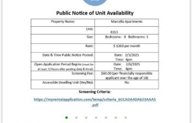 Studio, 1 bath, 525 sqft, $1,260, Unit 313