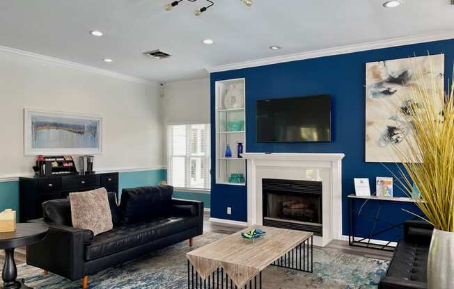 a living room with a blue accent wall and a black leather couch