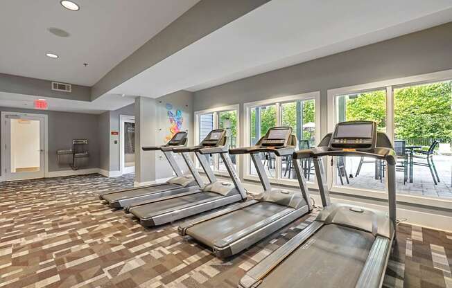 A gym with treadmills and a view of trees outside the window.