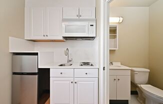 Studio, 1 bath, 180 sqft, $1,249, Unit Unit 302