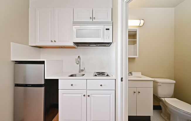 Studio, 1 bath, 180 sqft, $1,249, Unit Unit 302