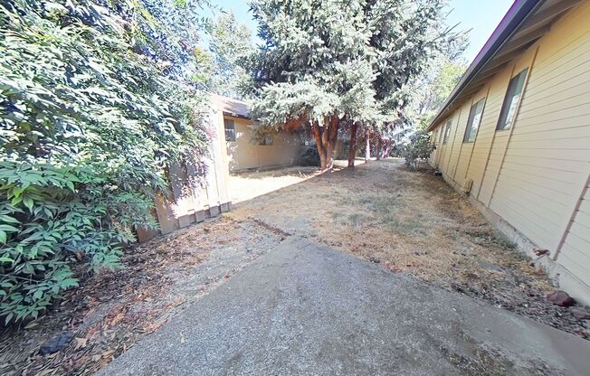 2 Bedroom Duplex ~ Albany