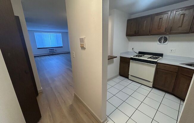 1 bed, 1 bath, $1,145, Unit 308