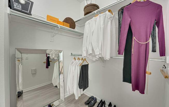 Spacious Closet at Vue Live Oak, Texas, 75204