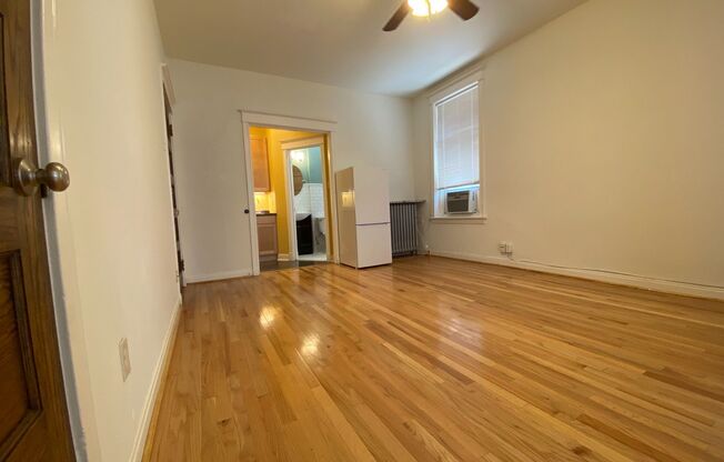 Studio, 1 bath, 180 sqft, $875, Unit 103