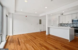 Northern Liberties Apartment